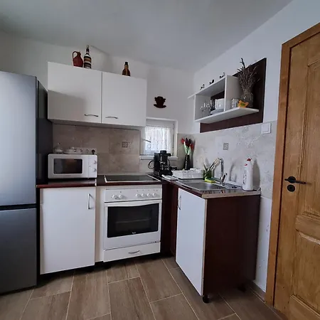Abranyi Nyirfas Apartment *